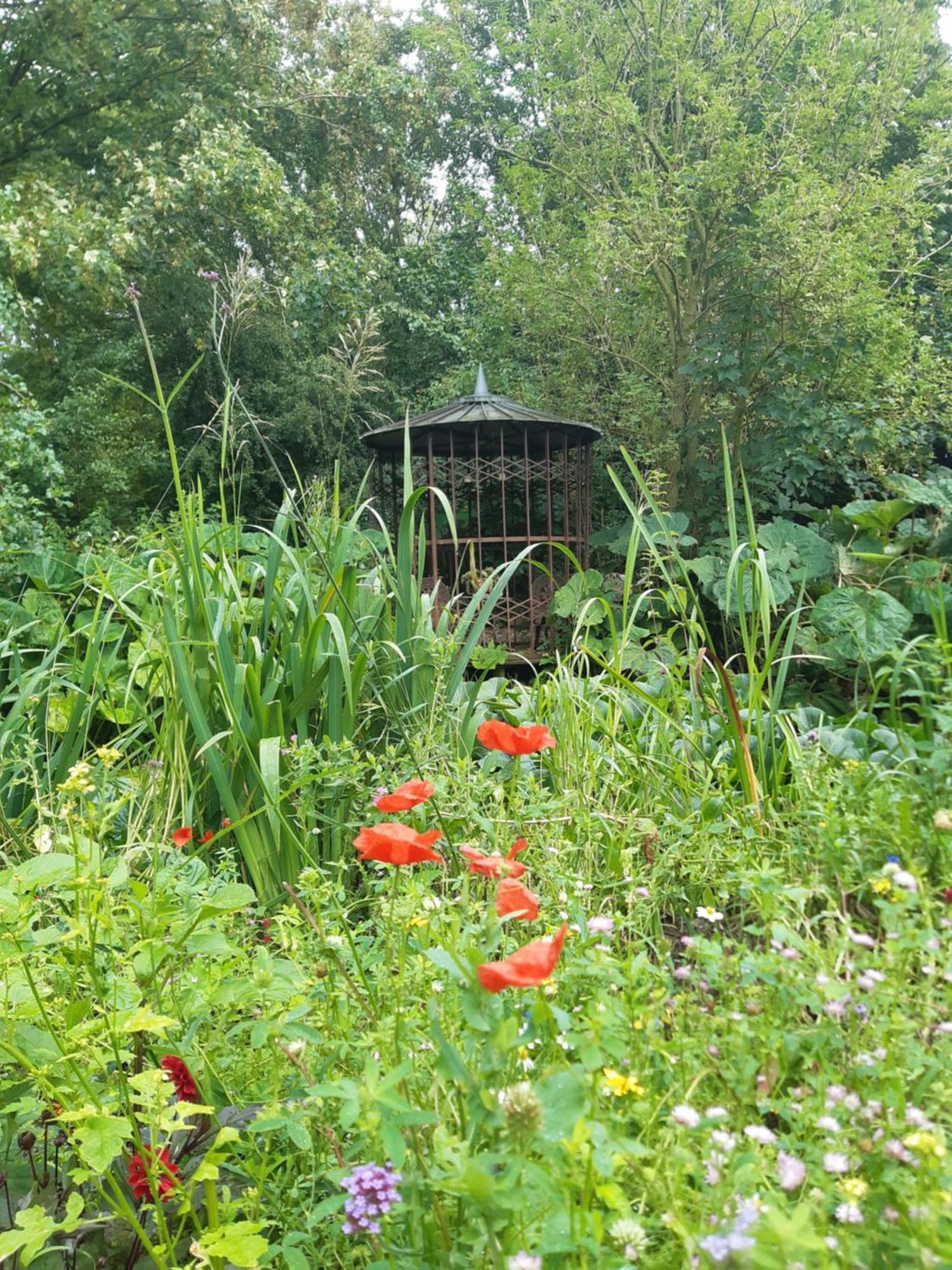 Rest En Romte Bed & Breakfast Birdaard Eksteriør bilde