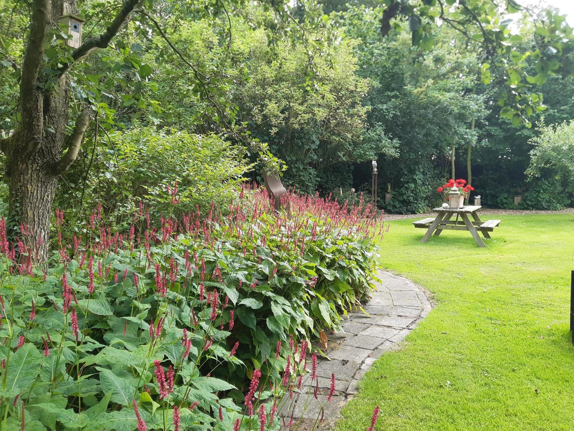 Rest En Romte Bed & Breakfast Birdaard Eksteriør bilde